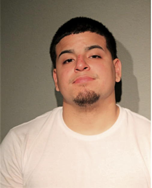 NATHAN A ALCAZAR, Cook County, Illinois