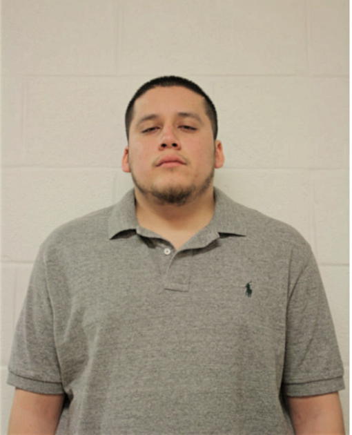 ALEXANDRO ALANIZ, Cook County, Illinois