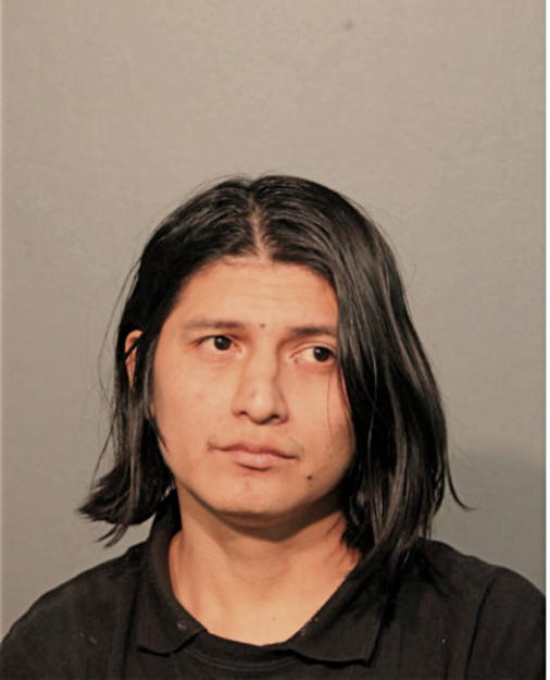 JORGE ALAO, Cook County, Illinois