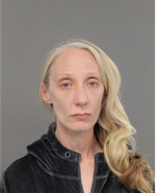 CHRISTINE R ANDERSON, Cook County, Illinois