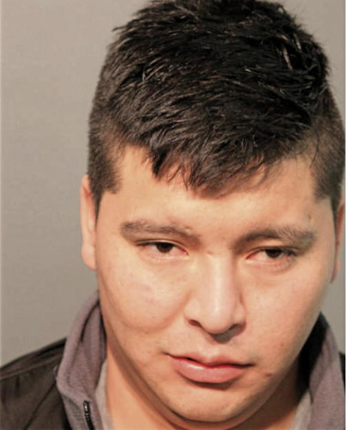 JORGE S BORJA, Cook County, Illinois