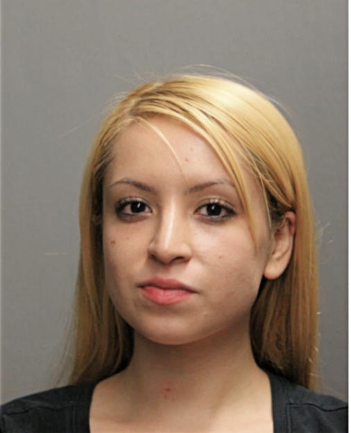 ARELY G BUSTAMANTE, Cook County, Illinois
