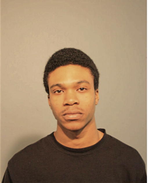 MICHAEL R COBB, Cook County, Illinois