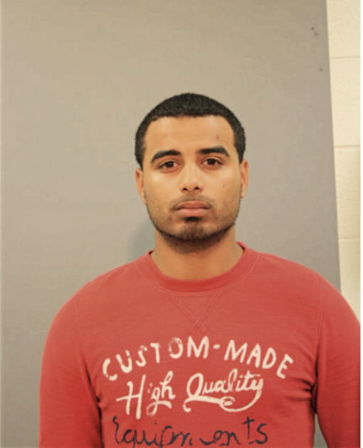 ANDRES E DEJESUS, Cook County, Illinois