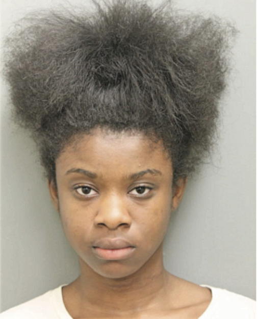 VICTORIA U ECHEGWO, Cook County, Illinois