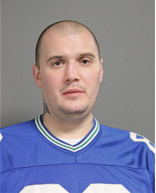 WILLIAM E HOLDT, Cook County, Illinois