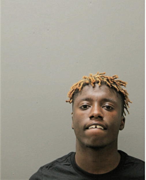 RONNELL S JOHNSON, Cook County, Illinois