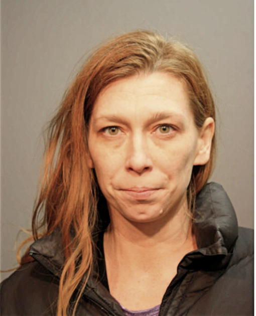 BETHANY L JOHNSTON, Cook County, Illinois