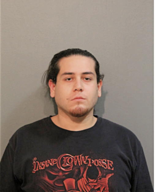 STEVEN A MALDONADO, Cook County, Illinois