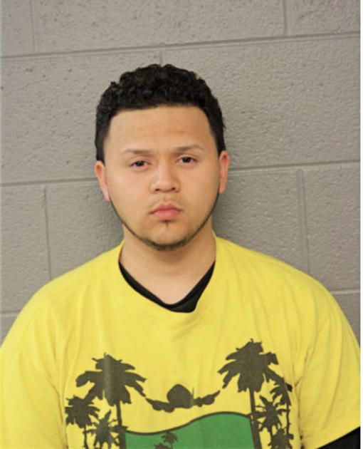 SALUD MARTINEZ, Cook County, Illinois