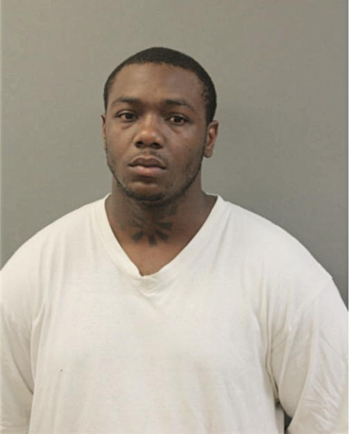 BRANDON C MIDDLETON, Cook County, Illinois