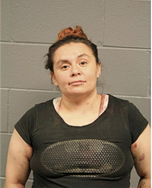 ANA L MORENO, Cook County, Illinois