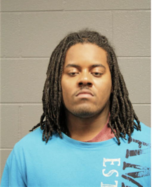 STEVEN L ORR, Cook County, Illinois