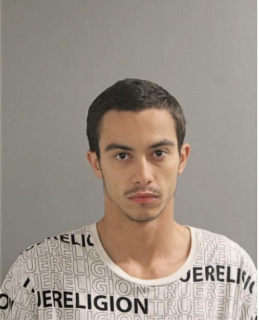 ISMAEL A ORTIZ, Cook County, Illinois