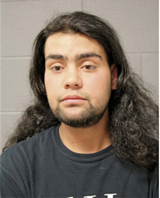 OTHONIEL RODRIGUEZ, Cook County, Illinois
