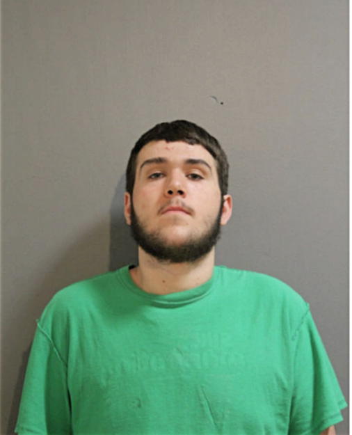 NICHOLAS A ROSS, Cook County, Illinois