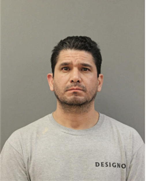 JESUS RUALES, Cook County, Illinois