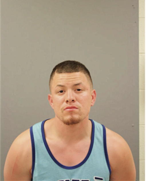 HENRY D TEBAR, Cook County, Illinois