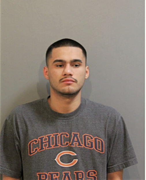 ALEJANDRO AMADO VILLARREAL, Cook County, Illinois