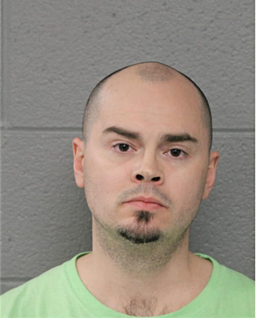 MARK A WOOD, Cook County, Illinois