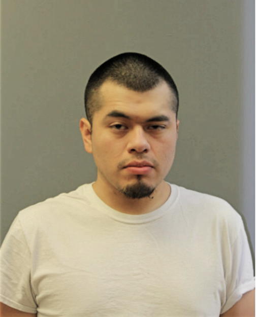 ERIK ARANDA, Cook County, Illinois
