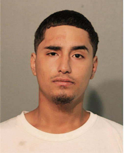 CHRISTIAN A BENAVIDES, Cook County, Illinois