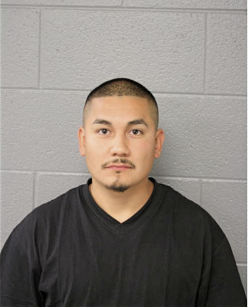 RICARDO BERMUDEZ, Cook County, Illinois