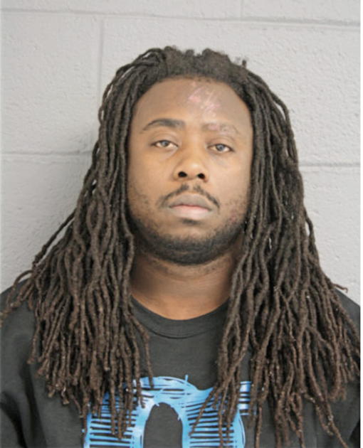 MICKO L BURNS, Cook County, Illinois