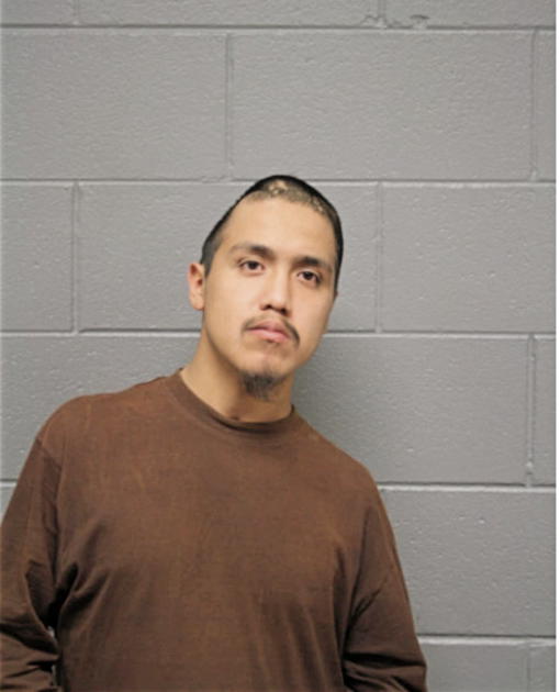 FIDEL CASTANEDA, Cook County, Illinois