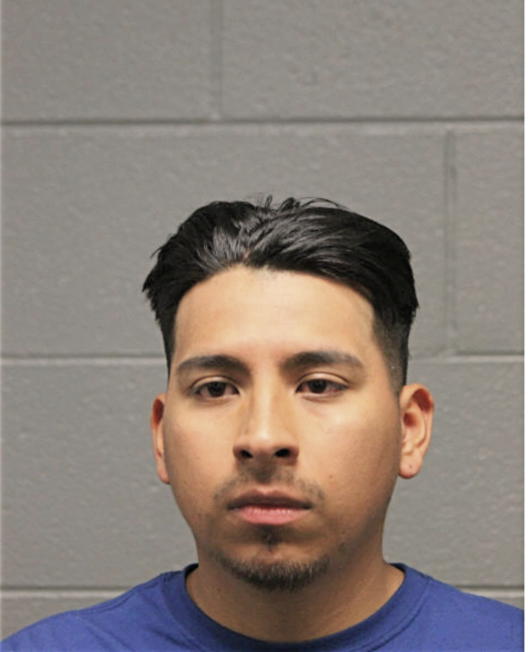 BRIAN CASTREJON, Cook County, Illinois