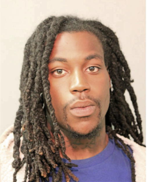 CHRISTOPHER L DANIELS, Cook County, Illinois
