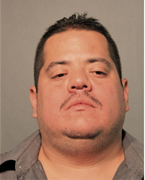 LUIS O GARCIA, Cook County, Illinois