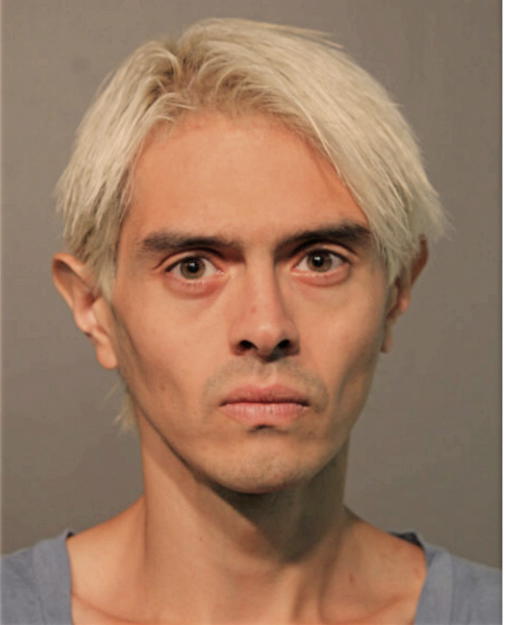 GAMALIEL M GOMEZ-CARRANZA, Cook County, Illinois