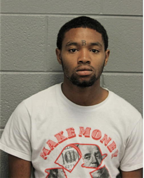 RAYMOND T HANDS, Cook County, Illinois