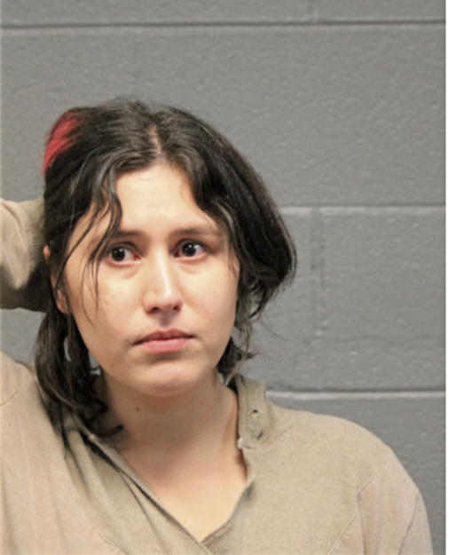 KELLY HAYES, Cook County, Illinois