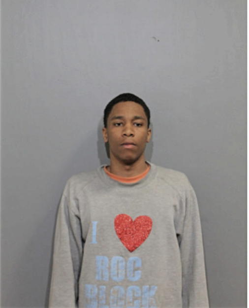 LEON HENRY, Cook County, Illinois