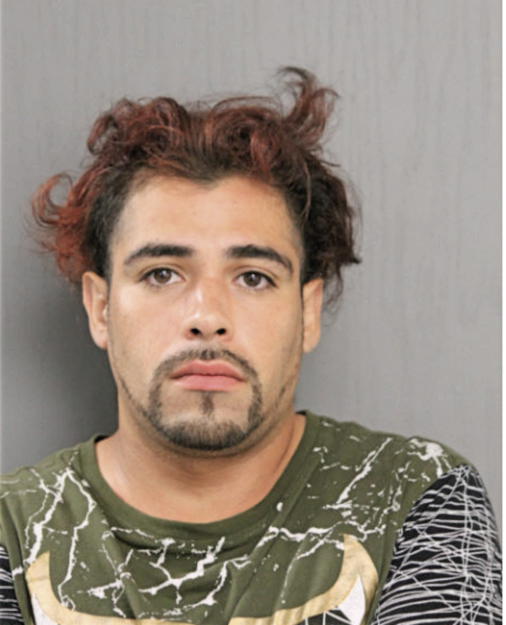 STEVEN I HERNANDEZ, Cook County, Illinois