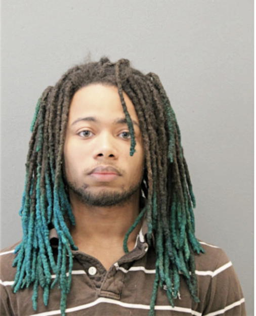 DAMIEN M HOLIDAY, Cook County, Illinois