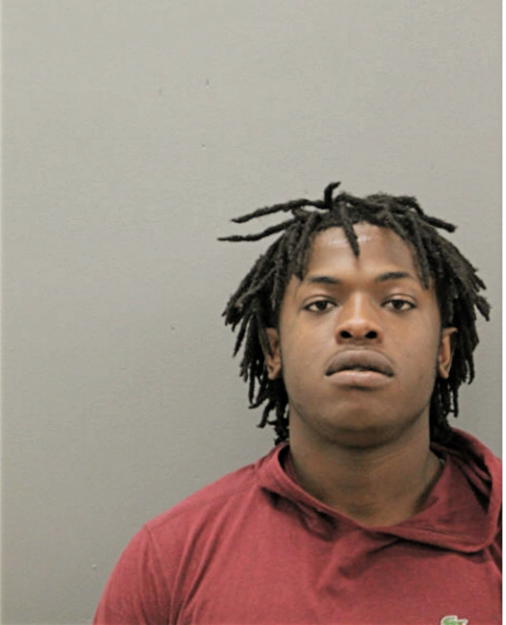DARRIN L HOPKINS, Cook County, Illinois
