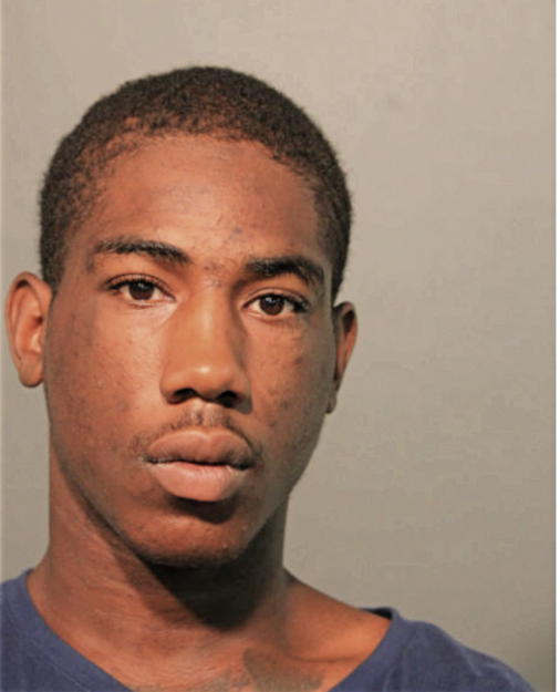 AARON J HUGHES, Cook County, Illinois