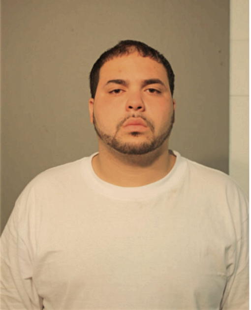 LUIS M IRIZARRY, Cook County, Illinois
