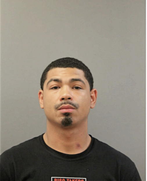WILLIAM J JACKSON, Cook County, Illinois