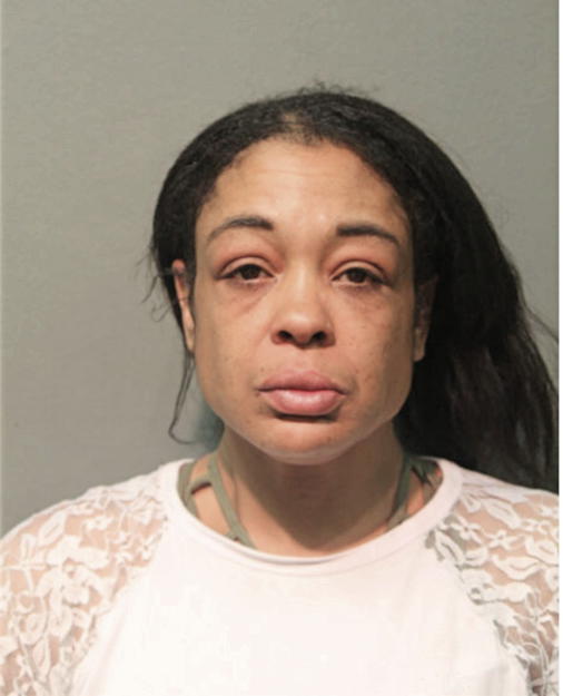 MARION L JOHNSON, Cook County, Illinois