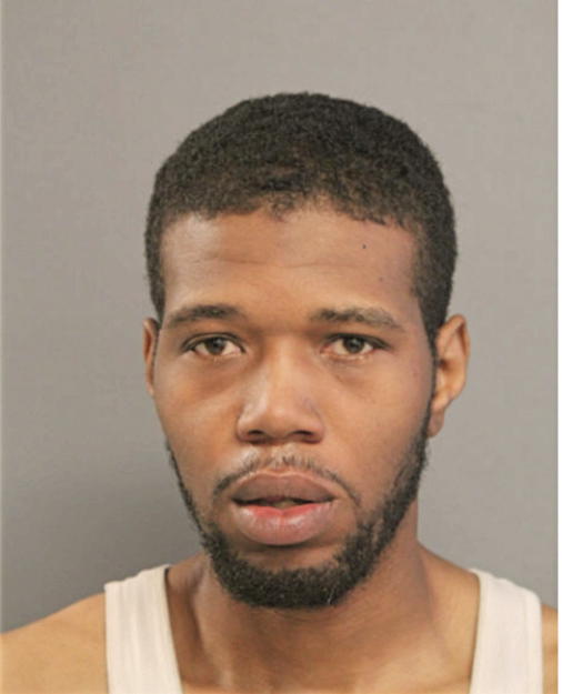 PATRICK M JOHNSON, Cook County, Illinois