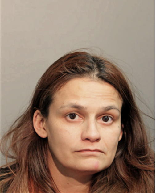 MELANIE C MARMOLEJO, Cook County, Illinois