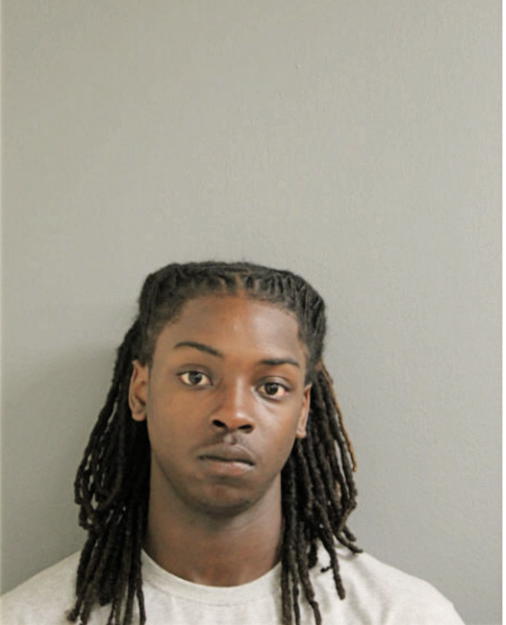DAVANTAE A MCGHEE, Cook County, Illinois