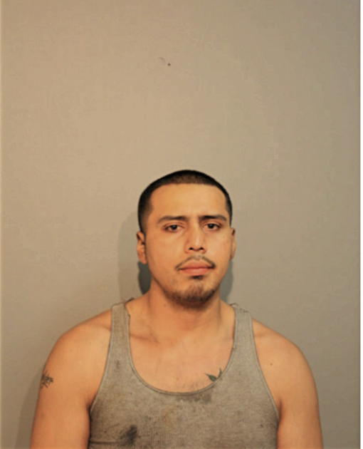 MOISES MENDIOLA, Cook County, Illinois