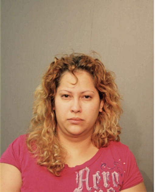 MARIA E ORTEGA, Cook County, Illinois
