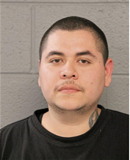 JUAN C PIZANO, Cook County, Illinois