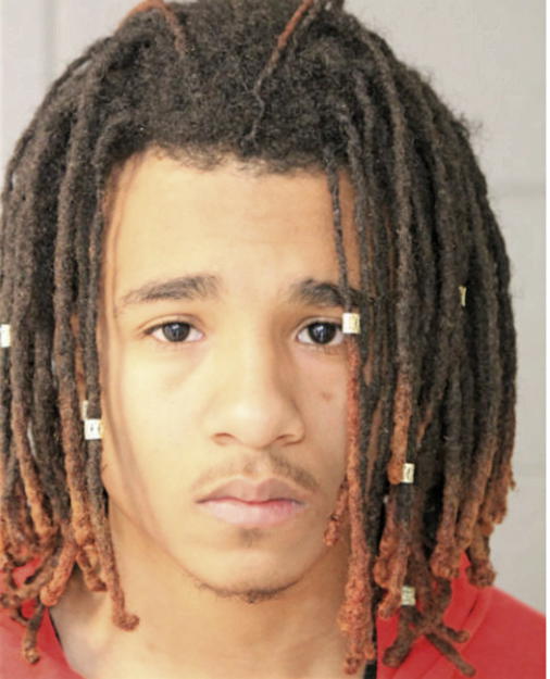 DESMOND C POTTS, Cook County, Illinois